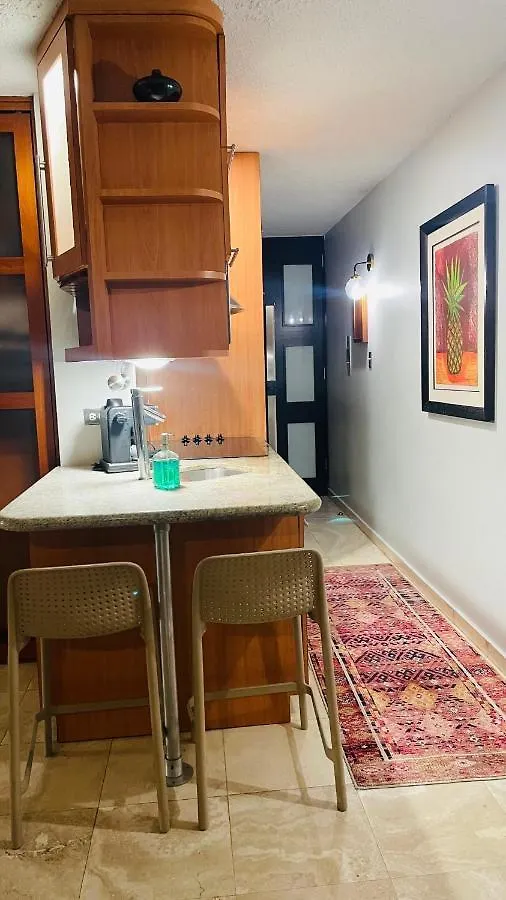 Cozy Studio At Miramar & Convention Center San Juan